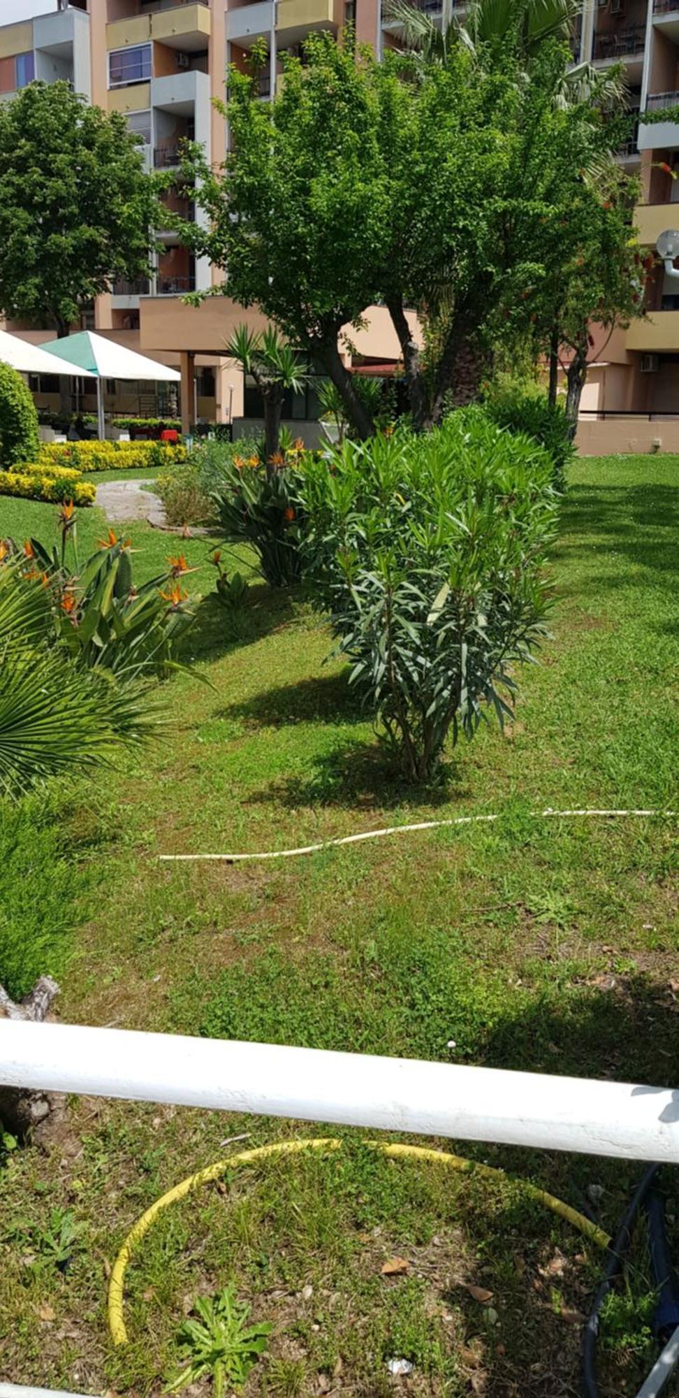Green Oasis Рим Екстер'єр фото